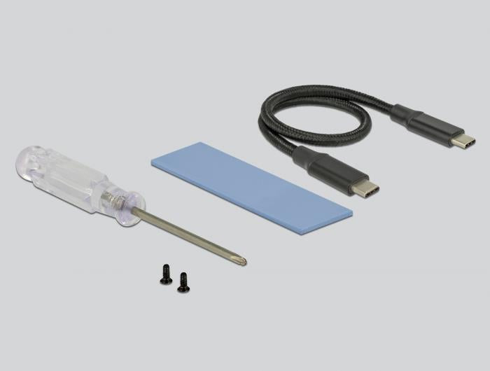 Delock Extern M.2 NVMe case