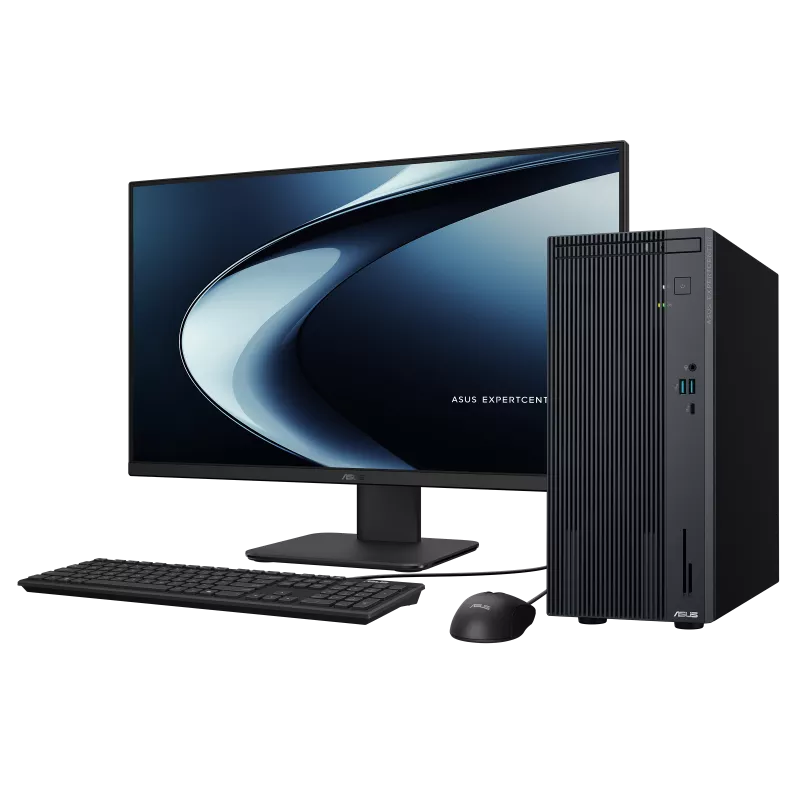 Asus ExpertCenter P500MV-13420H291X SFF 15L